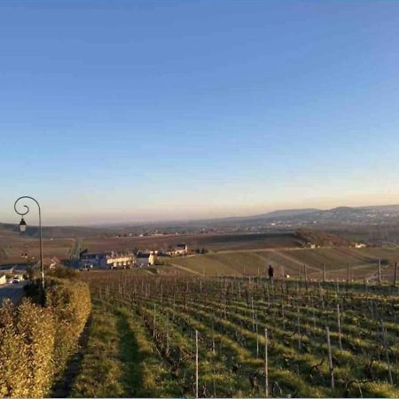 Le Petit Cesar Lägenhet Hautvillers Exteriör bild